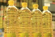 Palm oil,  Sunflower and Jatropha Oil for sale